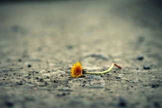 Quelle Pixabay